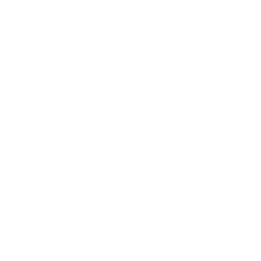 Acervo e Coleções